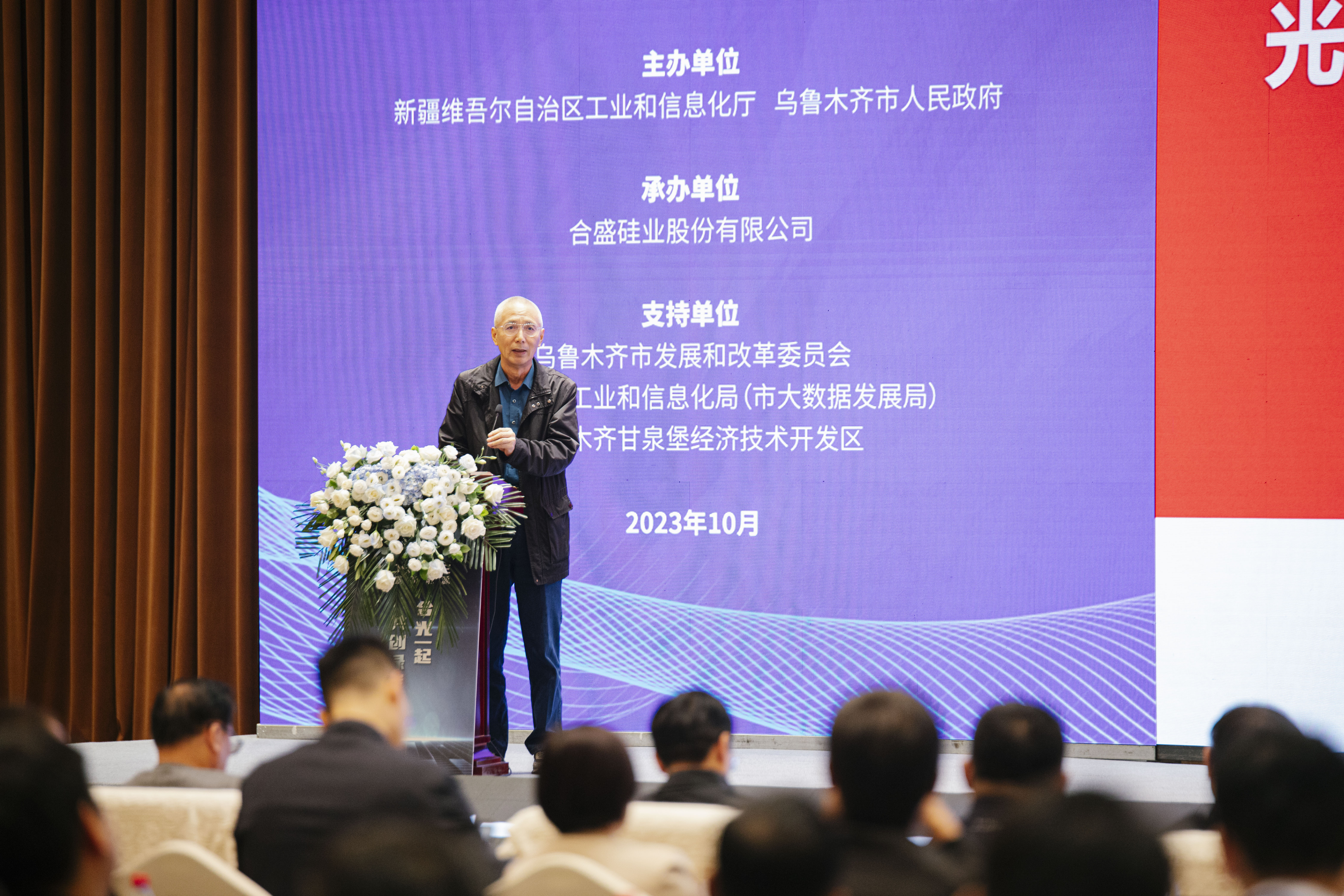 中國綠色供應(yīng)鏈聯(lián)盟光伏專委會主任沈輝教授作主題分享.jpg